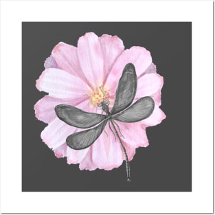 Dragonfly with tender pink flower Posters and Art